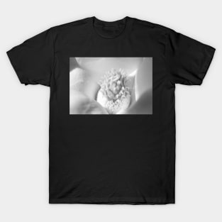 White Magnolia T-Shirt